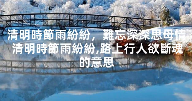 清明時節雨紛紛，難忘深深思母情 清明時節雨紛紛,路上行人欲斷魂的意思